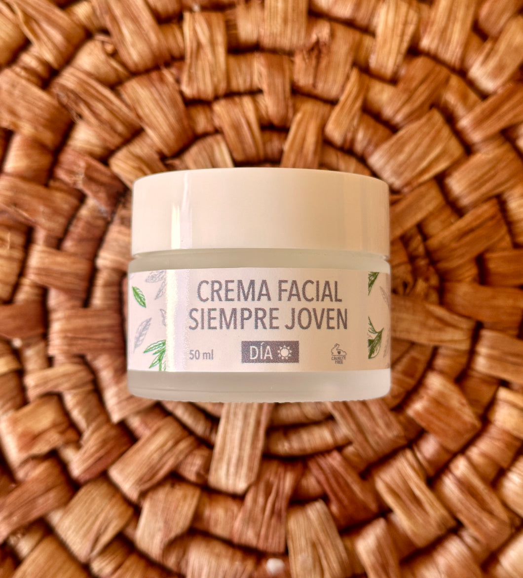 Crema Facial Día / Linea masculina